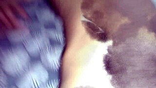 amateur brazilian babe sucks and rides big cock in pov cum shot