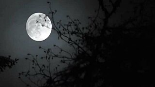 Lana Small sneaks up on her stepbro