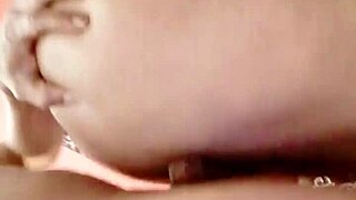 sundaydogood614 shares update 55 on feb 05 2024