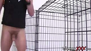 Horny Landon Kovak Raw Rams Sean Storm Hard