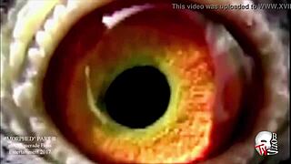 Thick big booty twerk for all ass lovers out there. Best big ass action in stunning 1080p.