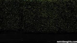 Aaliyah By R Waitdoyouhavea