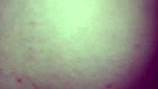 haciendo el amor con maría limón cecilio en escena mexicana