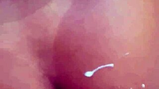 Alice Nao Aguento E Deu Bocetinha Pro Casado Do Bbb