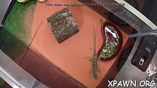 why is this amateur whore groaning while sucking in the contest?