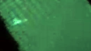 cogidita, that gay fucking feels intense