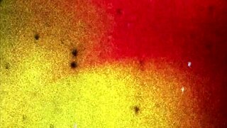 Destiny Showcases Her Stunning Tattooed Body In Blonde Solo