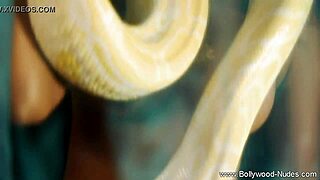 bolly babe dances and undresses in a teasing striptease