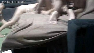 Camera captures an unexpected group gathering