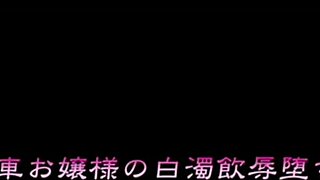 Is this hentai anime demo3?