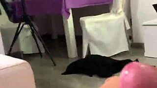 Beautiful Venezuelan woman gives great blowjob and anal sex