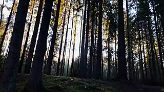 get lost in wonderlands