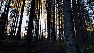 get lost in wonderlands