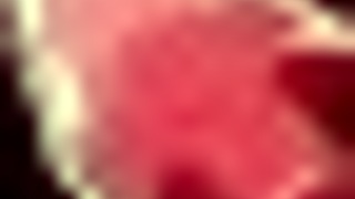 in honeysun gameplay, a redhead flight attendant starts the adventure