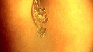 Brunette Indian Dancer Undresses Seductively In Erotic Striptease