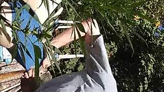 Hot Suck&Fuck in 420 Patch