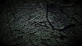 Dana barzagli teaches how to handle her big ass and small tits in part 1.