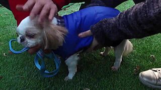 Two Individuals Engage In Physical Activity Scene.