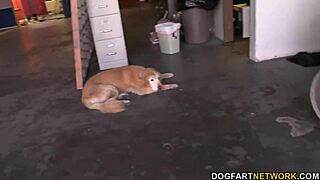 miley may takes huge black cock deep