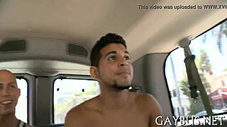 Hard homo sex or something softer?