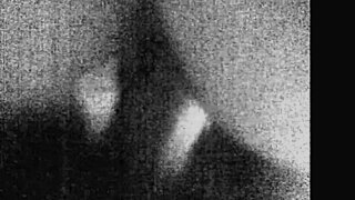 Vintage IV Massage Turns Wild