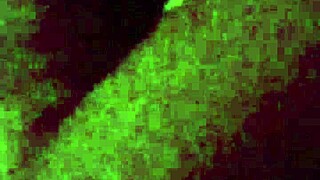 Excited Latina Rides Big Cock in POV Cowgirl All Night