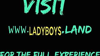 Sexig thailändsk ladyboy retar genom att strippa och runka sin hårda kuk