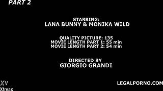 Monika Wild kena fisting anus brutal dan cumshot di DAP liar!