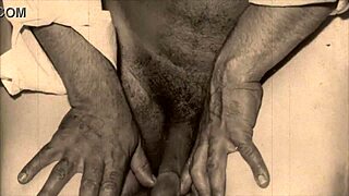 复古跨种族四人组快速升温