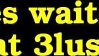 Amatörsamling vol 14