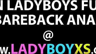 Bareback asiatisk ladyboy viser frem sexy store pupper i POV