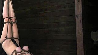 أه، ديكسون ماسون خاضع يحصل على تعذيب فيم دوم خشن، شديد جدا