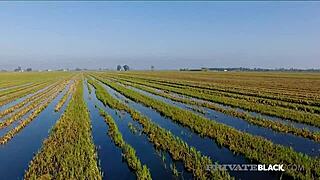 PrivateBlack - Bambi Bella a Crystal Swift se vrhnou do mezirasové orgie