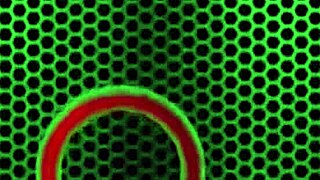 बिग बट सारा जे ज़ोए हॉलिडे की पस्सी प्ले का मजा लेती है।