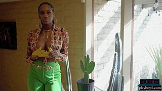 Μαύρη μοντέλο Playboy Nyla επιδεικνύει τεράστια φυσικά στήθη σε καυτό striptease