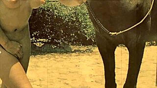 黑暗灯笼娱乐震撼美女野兽性爱传奇