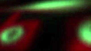 Третий раз - удача с Брикзиллой и Коной Джейд в дикой игре с римингом